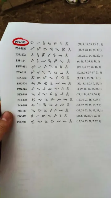 Zlaté stránky pro vytáčení bran napříč vesmírem, skautský tábor Hvězdná brána, 2019, Hradčany u Mimoně, oddíl Surikaty Líbeznice