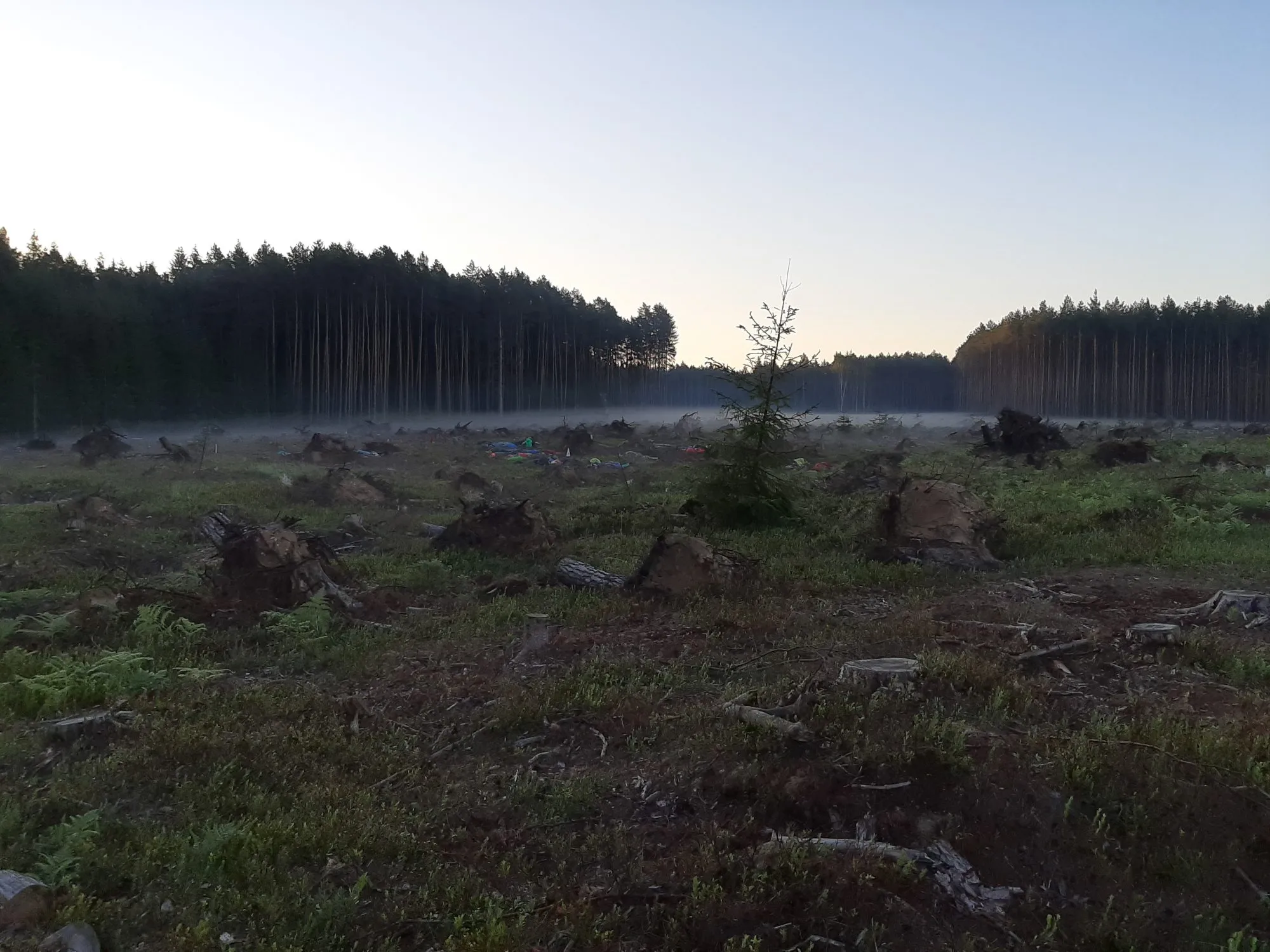 Spaní pod širákem na pláni mrtvých bojovníků, skautský tábor 12 úkolů pro Asterixe, 2020, Hradčany u Mimoně, oddíl Surikaty Líbeznice