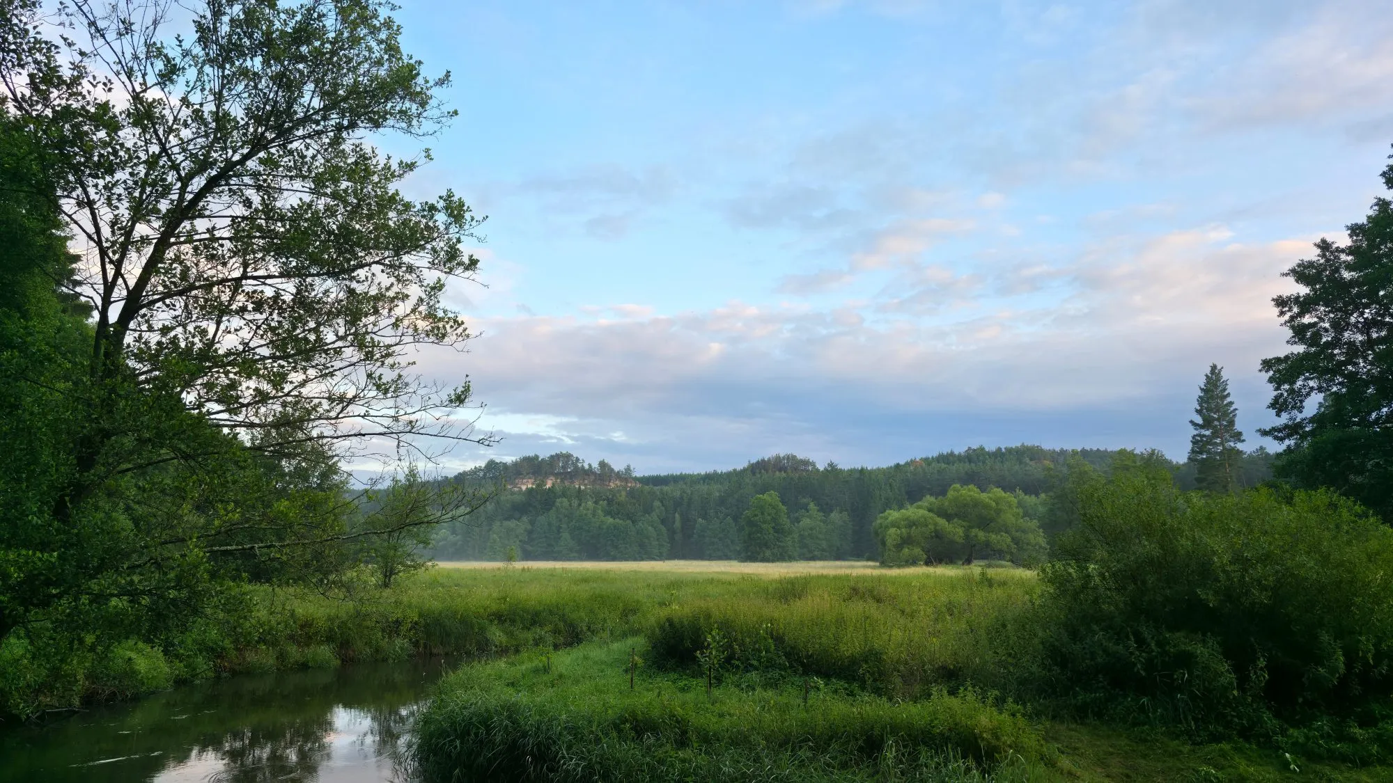 Panorama Ploučnice, pohled na hory, 2025, tábořiště v Hradčanech u Mimoně, oddíl Surikaty Líbeznice