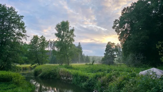 Panorama Ploučnice, pohled do lesů, 2025, tábořiště v Hradčanech u Mimoně, oddíl Surikaty Líbeznice