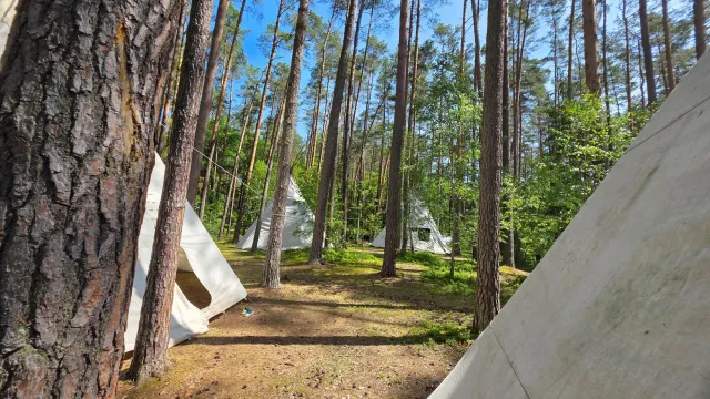 Pohled mezi teepee, 2025, tábořiště v Hradčanech u Mimoně, oddíl Surikaty Líbeznice