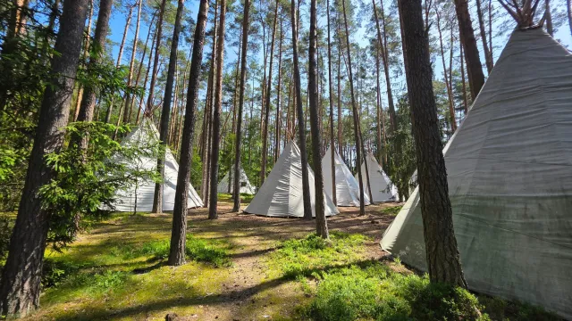 Pohled na teepee, 2025, tábořiště v Hradčanech u Mimoně, oddíl Surikaty Líbeznice