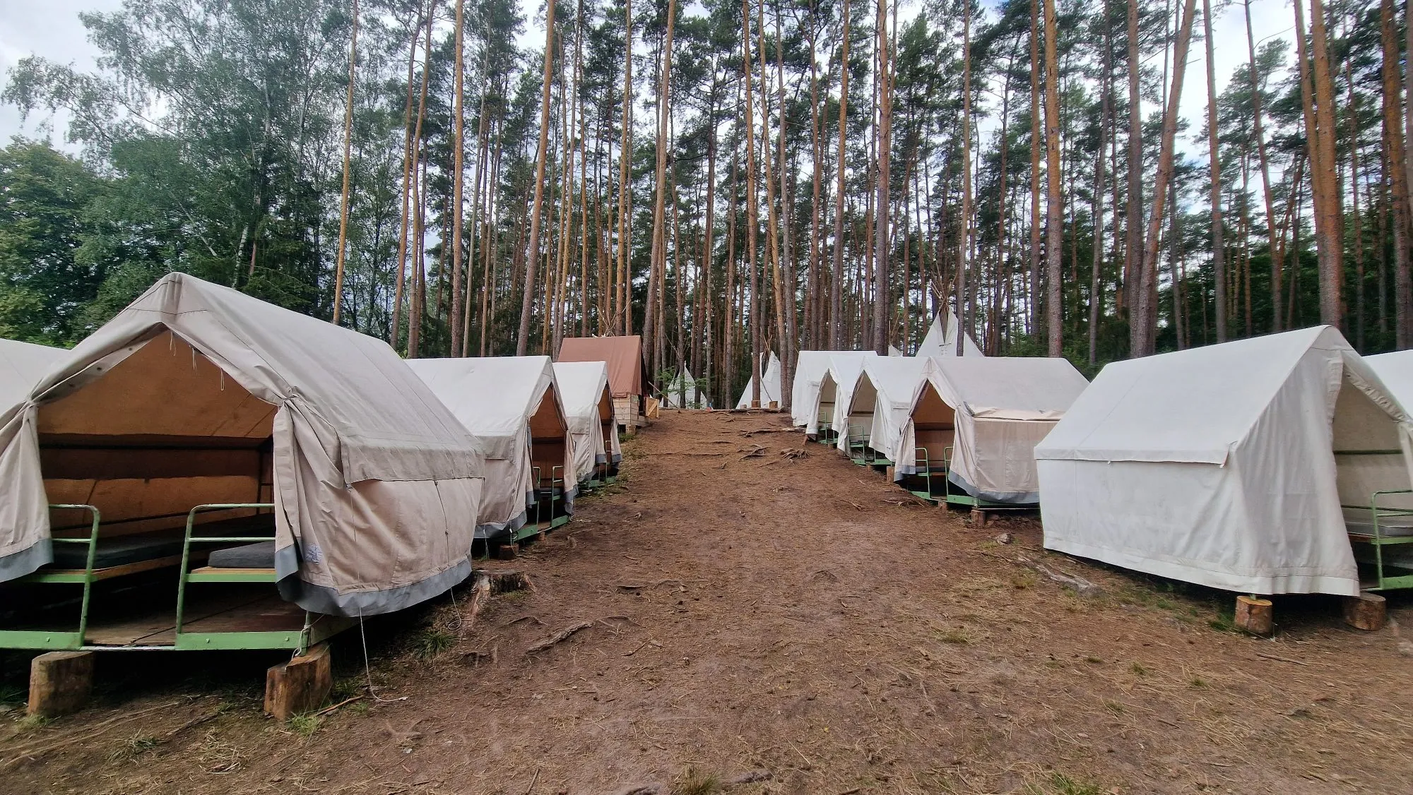 Pohled nahoru na tábořiště, 2022, tábořiště v Hradčanech u Mimoně, oddíl Surikaty Líbeznice