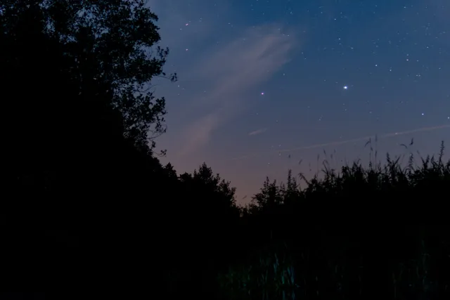 Noční obloha nad tábořištěm, 2020, tábořiště v Hradčanech u Mimoně, oddíl Surikaty Líbeznice