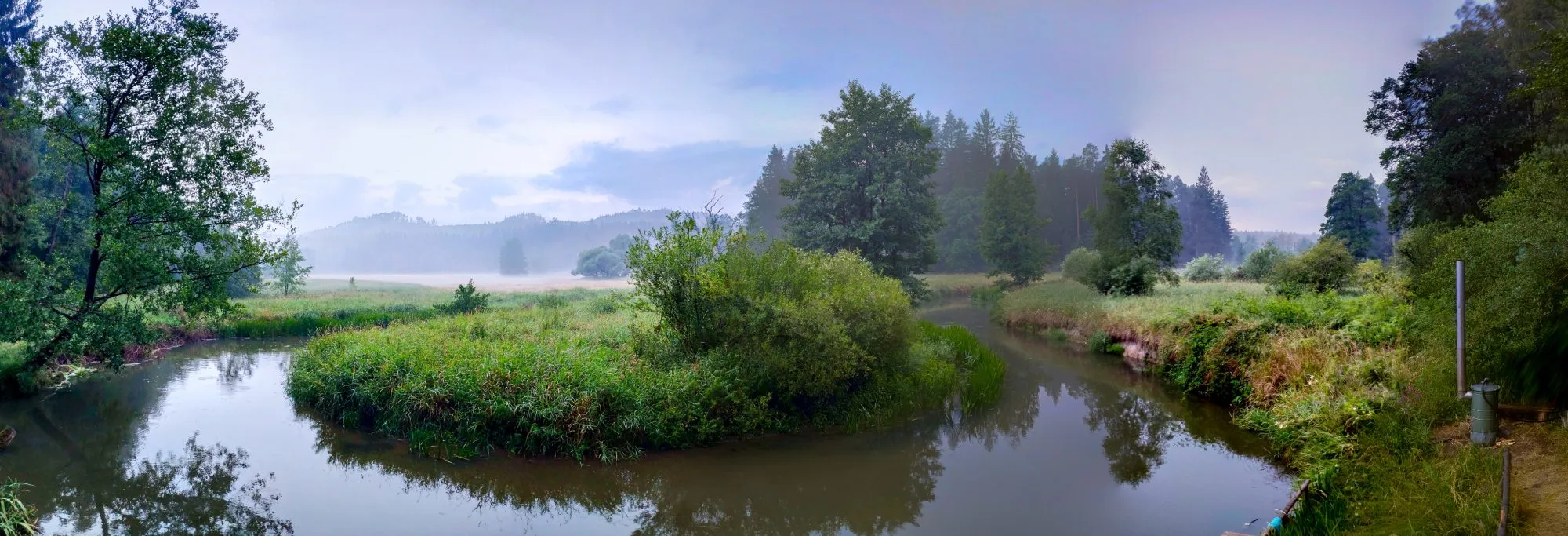 Panorama, 2019, tábořiště v Hradčanech u Mimoně, oddíl Surikaty Líbeznice