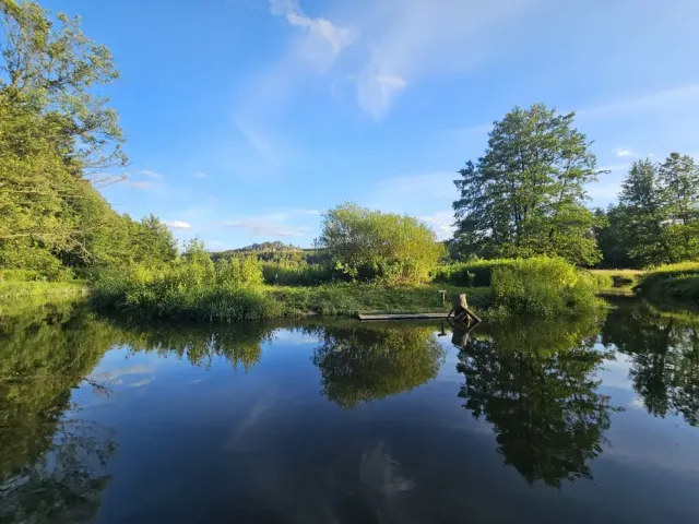 Ploučnice u tábořiště